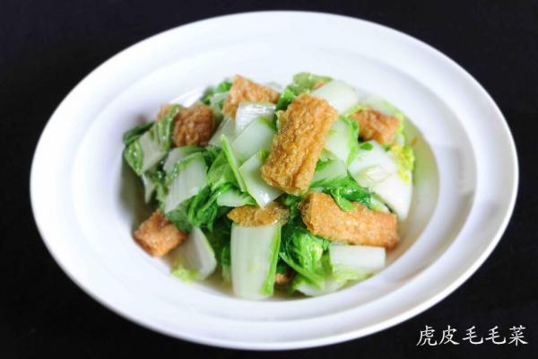 虎皮毛毛菜